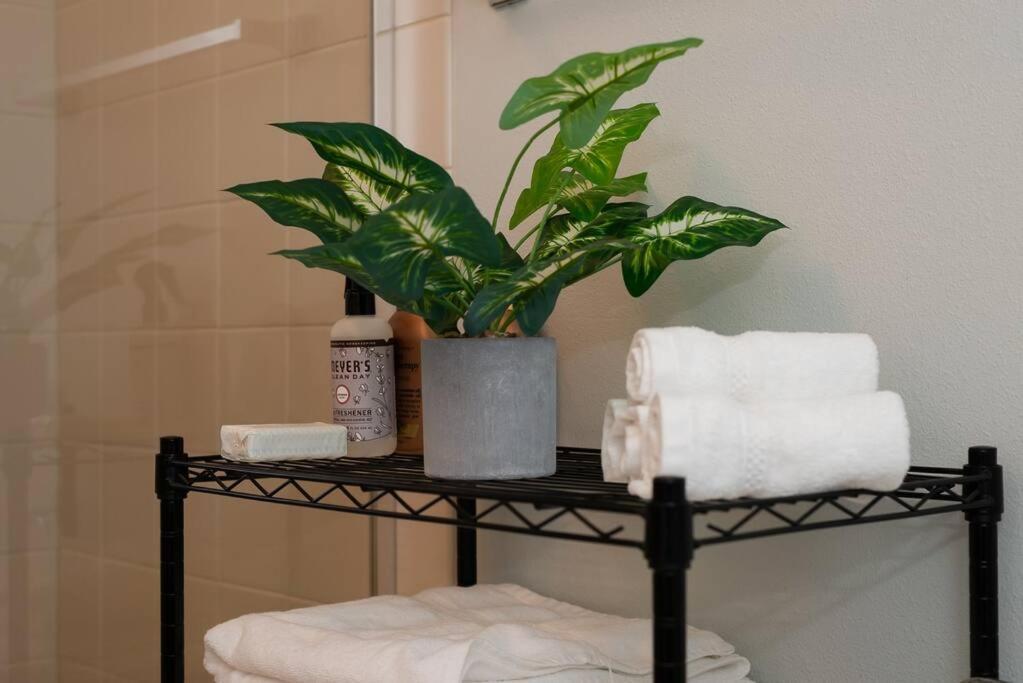 Snug Suite Near Greenlake! 시애틀 외부 사진